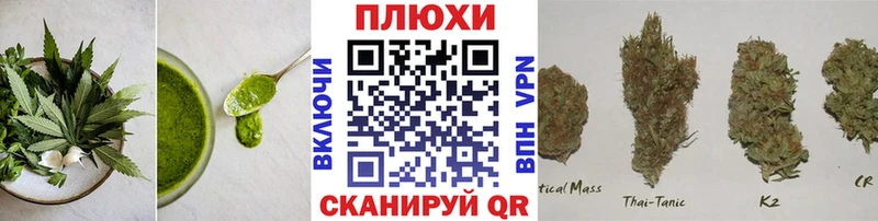 Купить  Алзамай  Cannafood конопля 