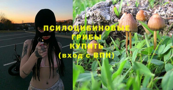 прущие крисы Лабытнанги