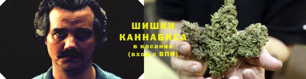 прущие крисы Лабытнанги