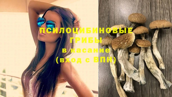 ECSTASY Ладушкин