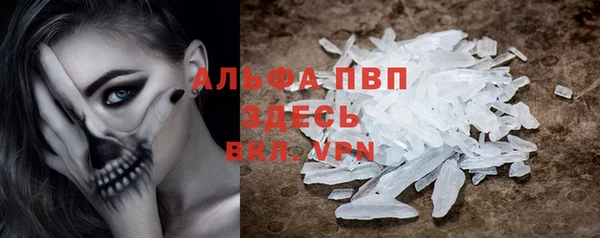 ECSTASY Ладушкин