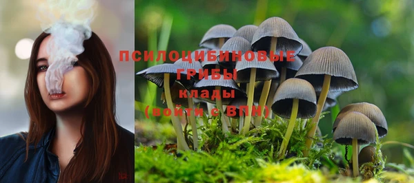 ECSTASY Ладушкин