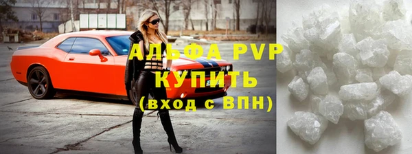 ECSTASY Ладушкин