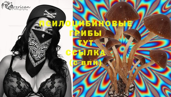 ECSTASY Ладушкин