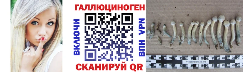 Купить  Алзамай  Псилоцибиновые грибы Magic Shrooms 